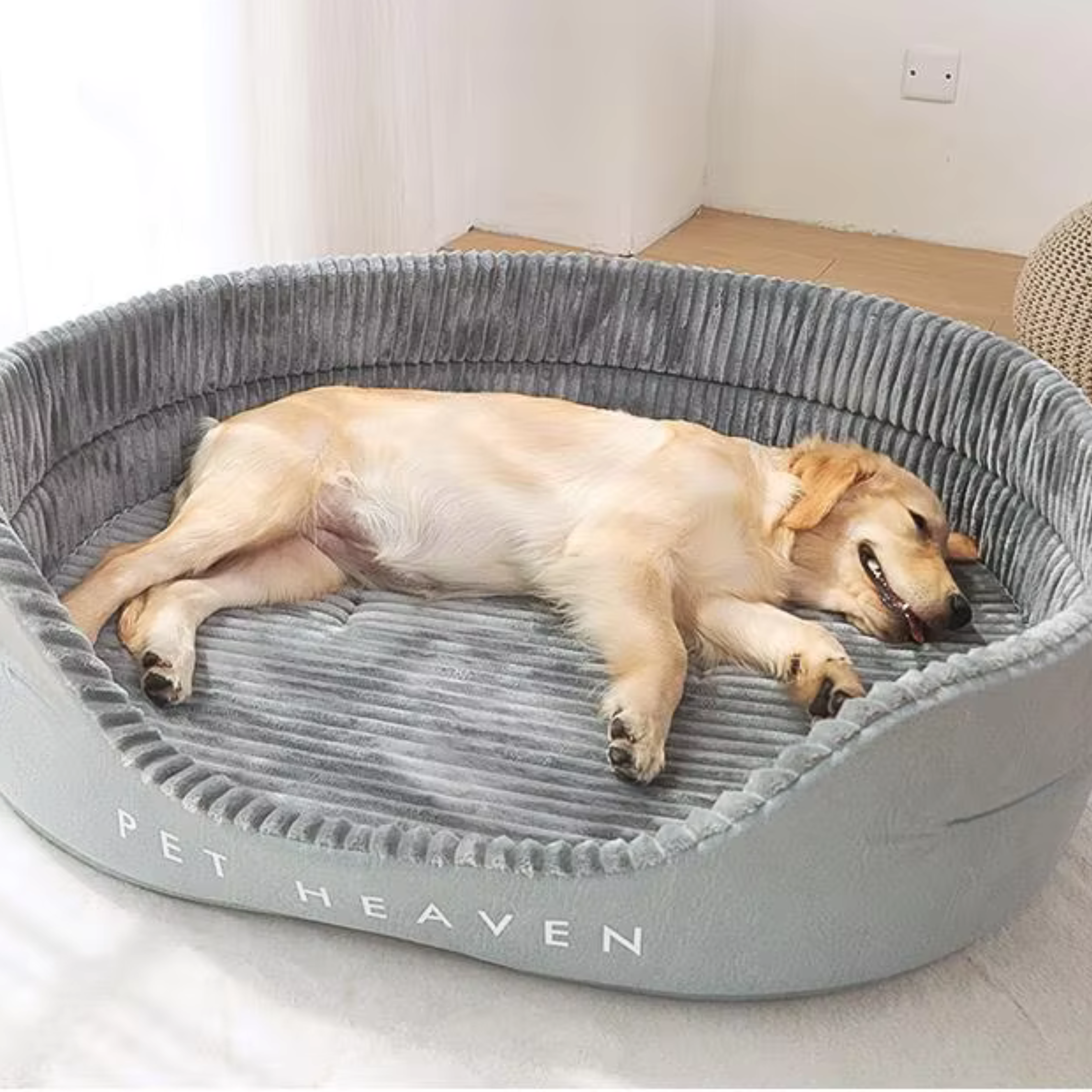 Super Soft Dog Bed with Removable Cushion