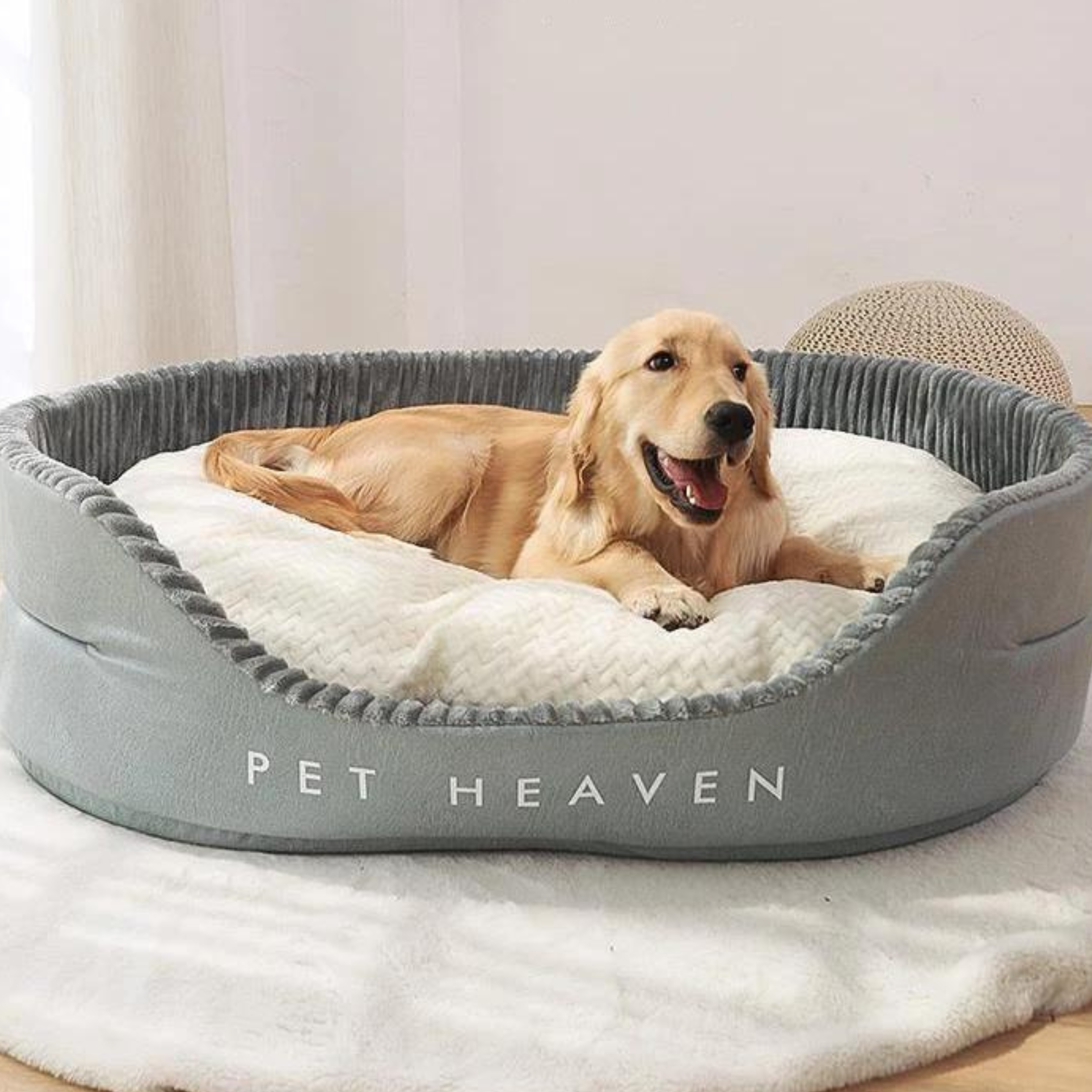 Super Soft Dog Bed with Removable Cushion