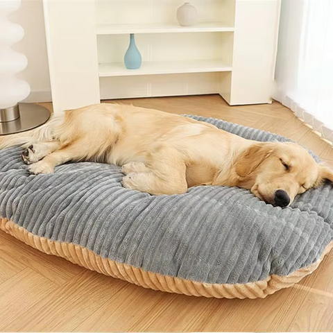 Super Soft Dog Bed with Removable Cushion