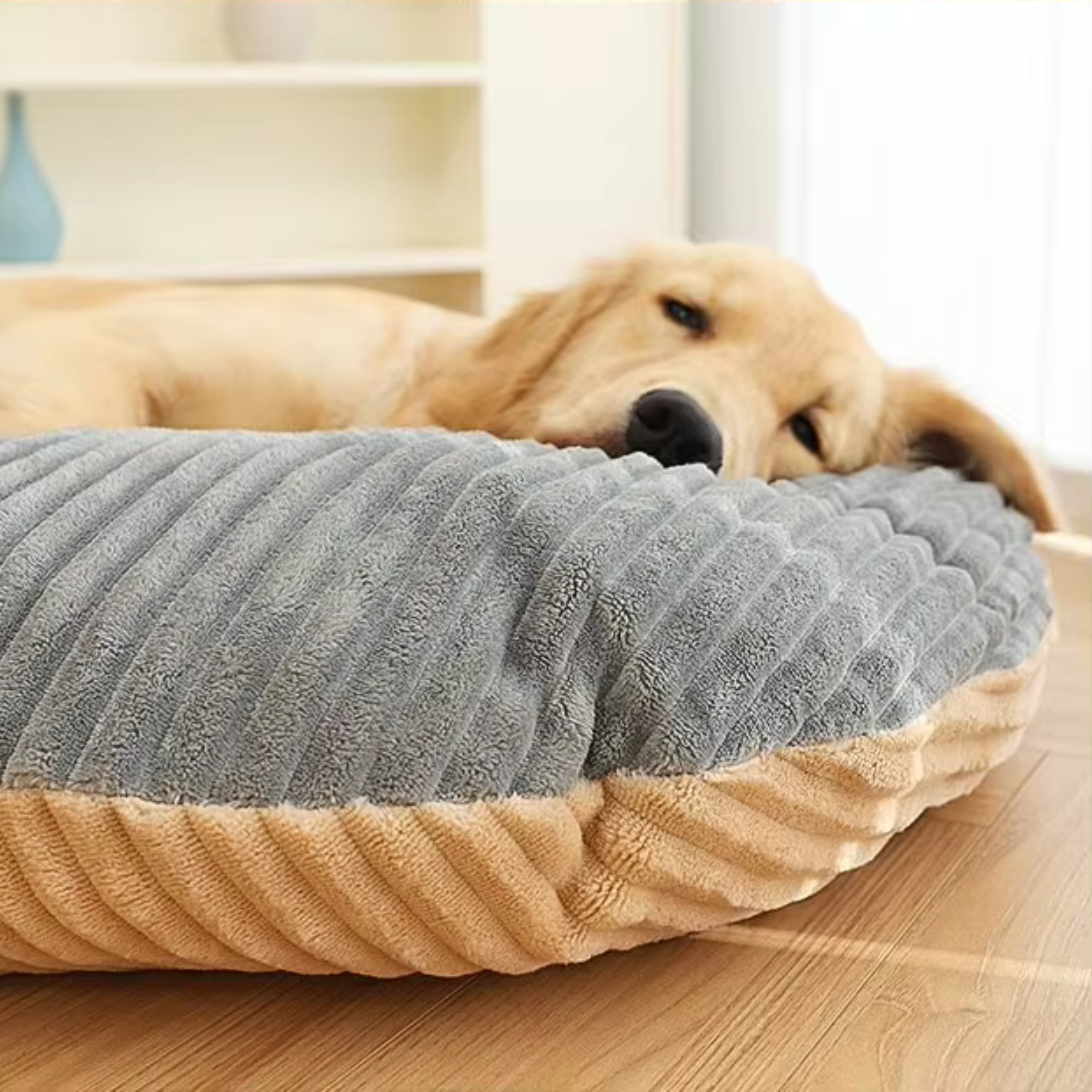 Super Soft Dog Bed with Removable Cushion