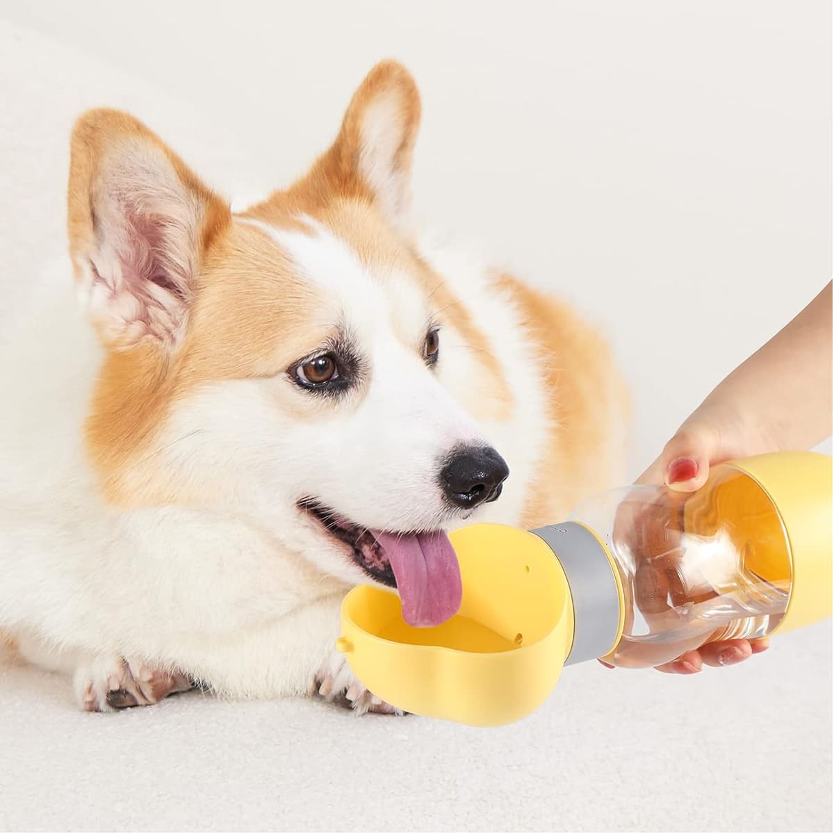 2-in-1 Portable Dog Water Bottle with Food Container