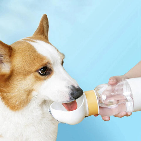 2-in-1 Portable Dog Water Bottle with Food Container