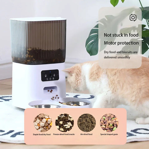 Pet Smart Feeder App Two-Way Video Language Translator